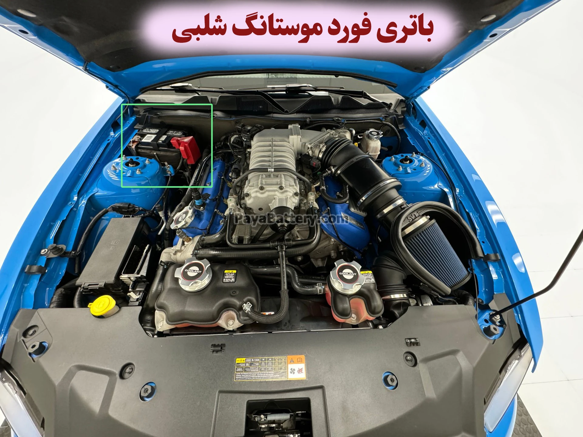محل باتری فورد موستانگ شلبی