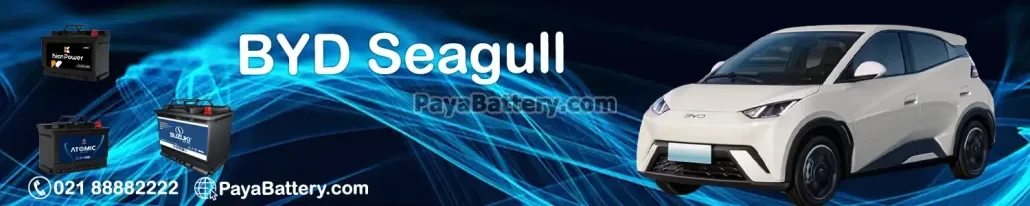 بی وای دی سیگال