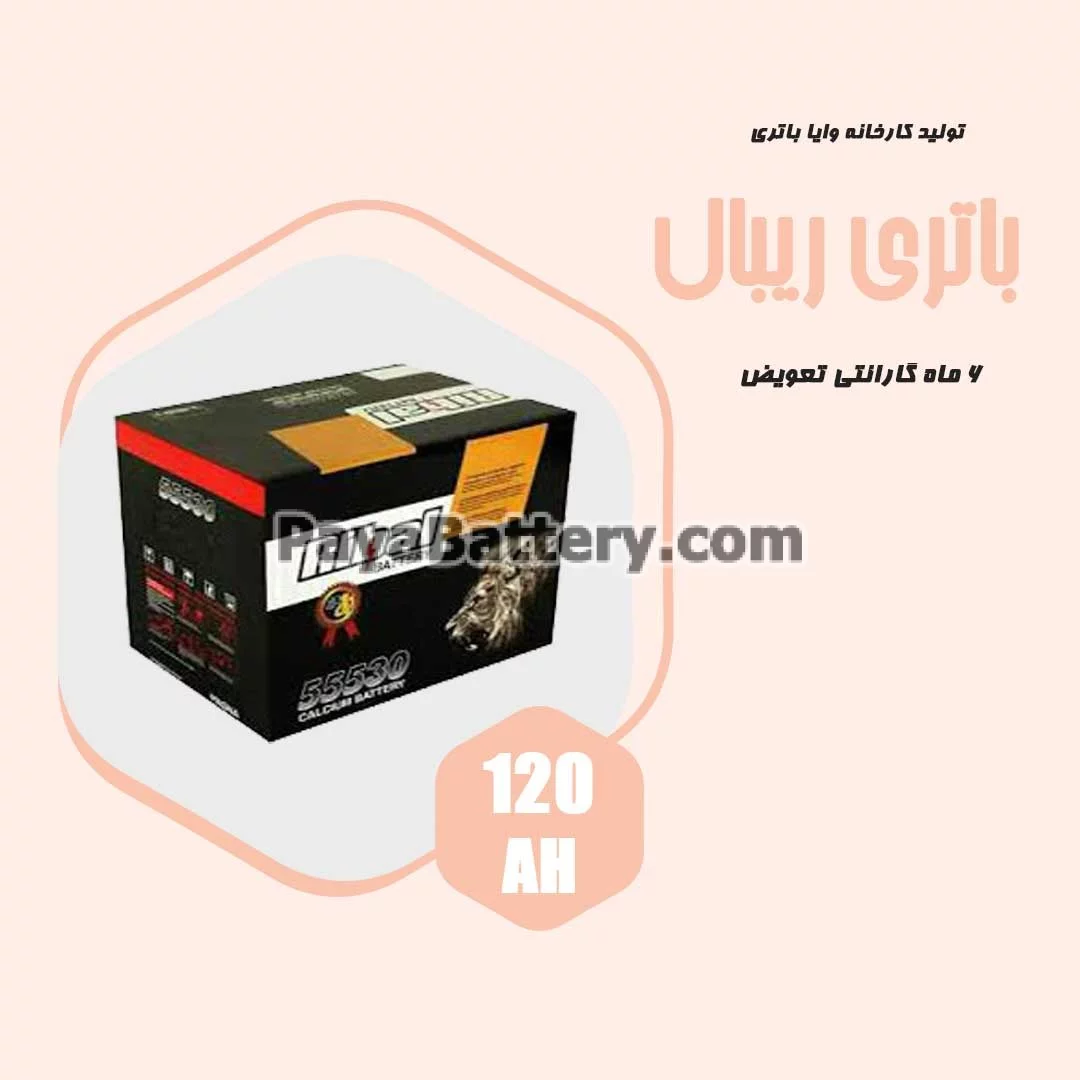 باتری 120 آمپر ریبال وایا باتری