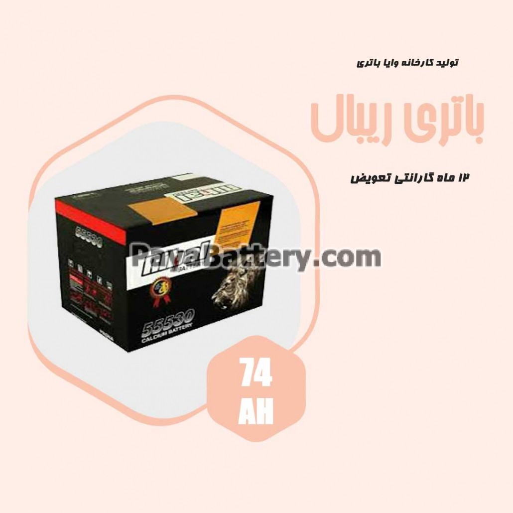 باتری 74 آمپر ریبال وایا باتری