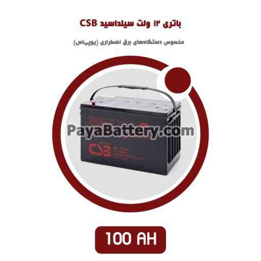 باتری 100 آمپر ساعت یو پی اس CSB