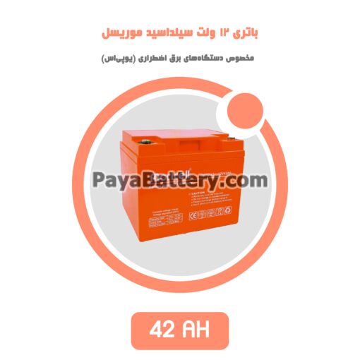 باتری 42 آمپر ساعت یو پی اس موریسل