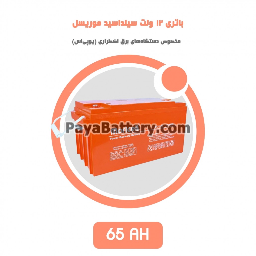 باتری 65 آمپر ساعت یو پی اس موریسل