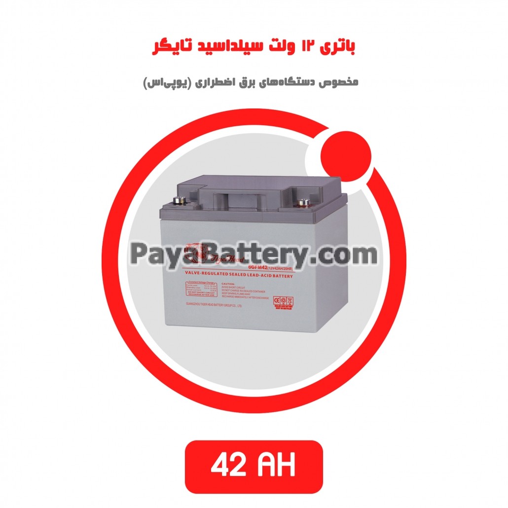 باتری 42 آمپر ساعت یو پی اس تایگر
