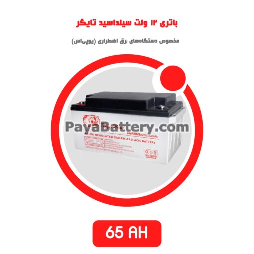 باتری 65 آمپر ساعت یو پی اس تایگر
