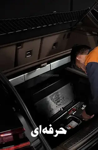 تخصص در خودروهای لوکس